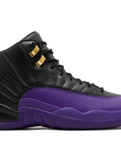 Air Jordan 12 'Black' CT8013-057