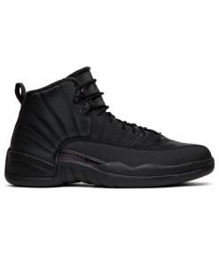 Air Jordan 12 Retro Winterized Triple Black BQ6851-001 Nicesnk