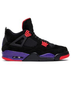 Air Jordan 4 Retro NRG Raptors AQ3816-065 Nicesnk
