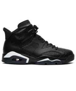 Air Jordan 6 Retro Black Cat 384664-020 Nicesnk