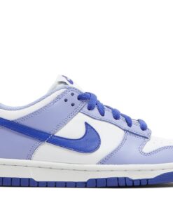 (Grade School) Nike Dunk Low Blueberry DZ4456-100 Nicesnk
