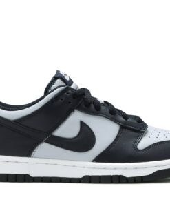 (Grade School) Nike Dunk Low Georgetown CW1590-004 Nicesnk