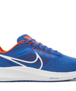 Nike Air Zoom Pegasus 39 Florida Gators DR1962-400 Nicesnk