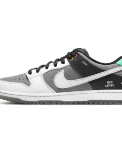 Nike Dunk Low SB 'Camcorder'