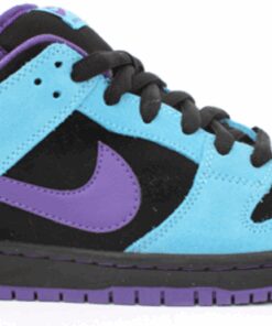 Nike SB Dunk Low Pro Skeletor 304292-020 Nicesnk